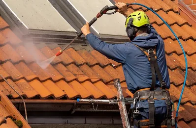 Démoussage et hydrofuge de toiture à Lespugue